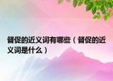 督促的近義詞有哪些（督促的近義詞是什么）