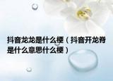 抖音龍龍是什么梗（抖音開龍脊是什么意思什么梗）
