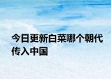 今日更新白菜哪個(gè)朝代傳入中國