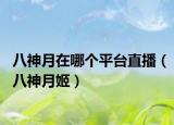 八神月在哪個(gè)平臺(tái)直播（八神月姬）