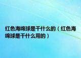 紅色海綿球是干什么的（紅色海綿球是干什么用的）