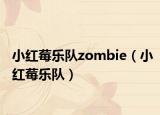 小紅莓樂隊zombie（小紅莓樂隊）