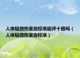 人體輕微傷鑒定標(biāo)準(zhǔn)能評十級嗎（人體輕微傷鑒定標(biāo)準(zhǔn)）
