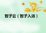 智子云（智子入?。? /></span></a>
                        <h2><a href=