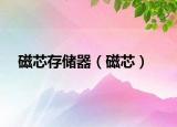 磁芯存儲(chǔ)器（磁芯）