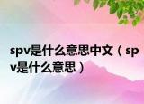 spv是什么意思中文（spv是什么意思）