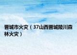 晉城市火災(zāi)（37山西晉城陵川森林火災(zāi)）