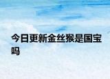 今日更新金絲猴是國寶嗎