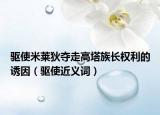 驅(qū)使米萊狄奪走高塔族長權(quán)利的誘因（驅(qū)使近義詞）