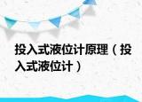 投入式液位計原理（投入式液位計）