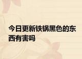 今日更新鐵鍋黑色的東西有害嗎