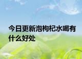 今日更新泡枸杞水喝有什么好處