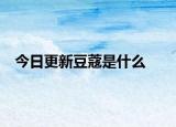 今日更新豆蔻是什么
