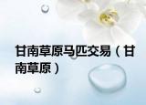 甘南草原馬匹交易（甘南草原）