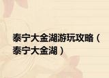 泰寧大金湖游玩攻略（泰寧大金湖）