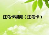 汪烏卡視頻（汪烏卡）