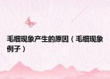 毛細現(xiàn)象產(chǎn)生的原因（毛細現(xiàn)象例子）