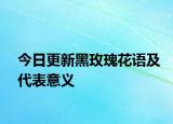今日更新黑玫瑰花語(yǔ)及代表意義