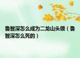 魯智深怎么成為二龍山頭領(lǐng)（魯智深怎么死的）