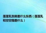 蓬蓬乳到底是什么東西（蓬蓬乳和空空指是什么）
