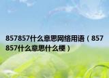 857857什么意思網(wǎng)絡(luò)用語(yǔ)（857857什么意思什么梗）
