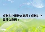 點到為止是什么意思（點到為止是什么意思）