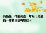 亮晶晶一樣的詞語(yǔ)一年級(jí)（亮晶晶一樣的詞語(yǔ)有哪些）