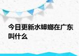 今日更新水蟑螂在廣東叫什么