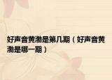 好聲音黃渤是第幾期（好聲音黃渤是哪一期）