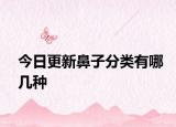 今日更新鼻子分類有哪幾種