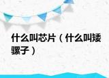 什么叫芯片（什么叫矮騾子）