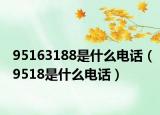 95163188是什么電話（9518是什么電話）