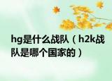 hg是什么戰(zhàn)隊(duì)（h2k戰(zhàn)隊(duì)是哪個(gè)國(guó)家的）