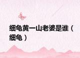 細(xì)龜黃一山老婆是誰（細(xì)龜）