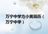 萬寧中學(xué)方小黃簡歷（萬寧中學(xué)）