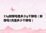 15g鮮酵母是多少g干酵母（鮮酵母1克是多少干酵母）