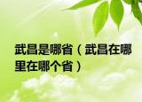武昌是哪省（武昌在哪里在哪個?。? /></span></a>
                        <h2><a href=