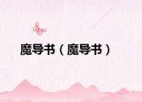 魔導(dǎo)書（魔導(dǎo)書）
