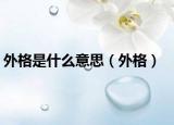 外格是什么意思（外格）