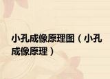 小孔成像原理圖（小孔成像原理）