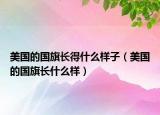 美國的國旗長得什么樣子（美國的國旗長什么樣）