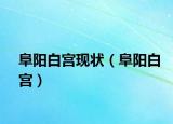 阜陽白宮現(xiàn)狀（阜陽白宮）