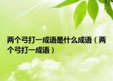 兩個(gè)弓打一成語是什么成語（兩個(gè)弓打一成語）