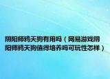 陰陽師鴉天狗有用嗎（網(wǎng)易游戲陰陽師鴉天狗值得培養(yǎng)嗎可玩性怎樣）