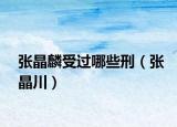 張晶麟受過(guò)哪些刑（張晶川）