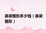 鼻梁整形多少錢（鼻梁整形）