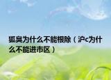 狐臭為什么不能根除（滬c為什么不能進(jìn)市區(qū)）