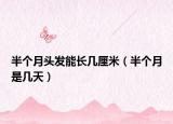 半個(gè)月頭發(fā)能長(zhǎng)幾厘米（半個(gè)月是幾天）
