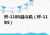 殲-11BS戰(zhàn)斗機(jī)（殲-11BS）