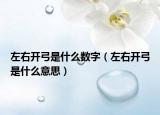 左右開弓是什么數(shù)字（左右開弓是什么意思）